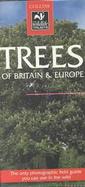 Trees of Britain and Europe cover