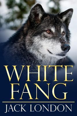 White fang. Лондон Джек 