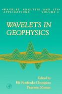 Wavelets in Geophysics (volume4) cover
