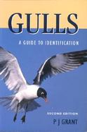 Gulls: A Guide to Identification cover