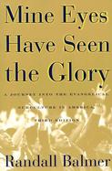 Mine Eyes Have Seen the Glory A Journey Through the Evangelical Subculture in America cover
