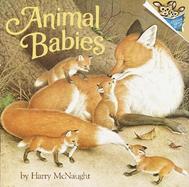 Animal Babies cover
