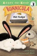 Hot Fudge cover
