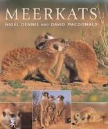 Meerkats cover