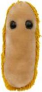 GiantMicrobes-Stomach Ache cover