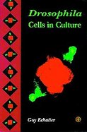 Drosophila Cells in Culture cover