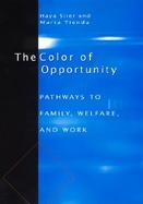 The Color of Opportunity Pathways to Family, Welfare, and Work cover