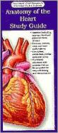 Anatomical Chart Company's Illustrated Pocket Anatomy: Anatomy of the Heart Study Guide cover