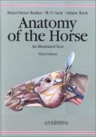 Anatomy of the Horse: An Illustrated Text cover