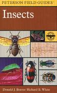 A Field Guide to Insects: America North of Mexico cover