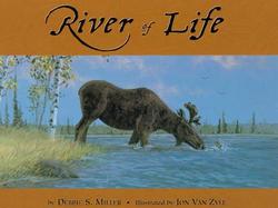 River of Life cover