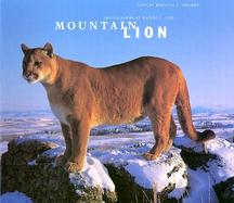 Mountain Lion cover