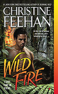 Wild Fire cover