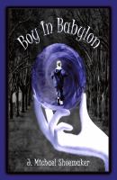 Boy in Babylon cover