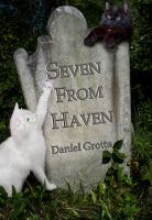 Seven from Haven cover