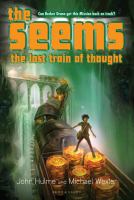 The Seems : The Lost Train of Thought cover