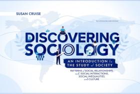 (Access Code) Discovering Sociology: An Introduction to the Study of Society cover