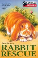 Rabbit Rescue cover