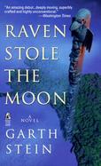 Raven Stole the Moon cover