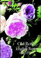 Old Roses and English Roses cover