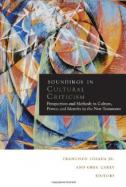 Soundings in Cultural Criticism : Perspectives and Methods in Culture, Power, and Identity in the New Testament cover