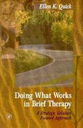 Doing What Works in Brief Therapy A Strategic Solution Focused Approach cover