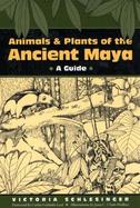 Animals and Plants of the Ancient Maya A Guide cover