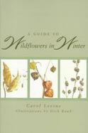 A Guide to Wildflowers in Winter Herbaceous Plants of Northeastern North America cover