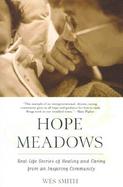 Hope Meadows: Real Life Stories of Healing and Caring from an Inspiring Community cover