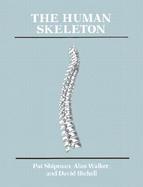 The Human Skeleton cover
