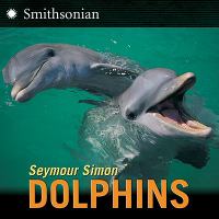 Dolphins cover
