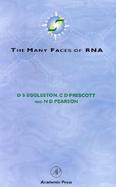 The Many Faces of Rna cover