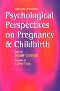 Psychological Perspectives on Pregnancy and Childbirth cover
