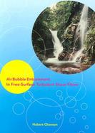 Air Bubble Entrainment in Free-Surface Turbulent Shear Flows cover
