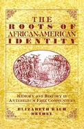 The Roots of African-American Identity Memory and History in Free Antebellum Communities cover