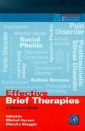 Effective Brief Therapies A Clinician's Guide cover