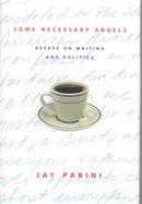 Some Necessary Angels Essays on Writing and Politics cover