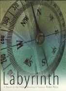 Labyrinth A Search for the Hidden Meaning of Science cover