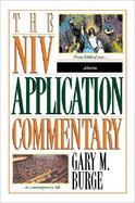 John The Niv Application Commentry  From Biblical Text ... to Contemporary Life cover