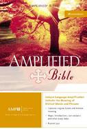 The Amplified Bible cover