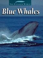 Blue Whales cover