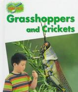 Grasshoppers and Crickets cover