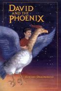 David and the Phoenix cover