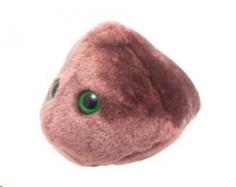 GiantMicrobes Liver Cell cover