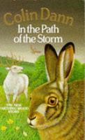 In the Patch of the Storm cover