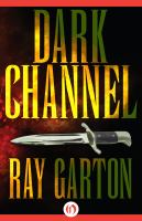 Dark Channel cover