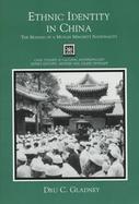 Ethnic Identity in China: The Making of a Muslim Minority Nationality cover