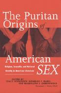 The Puritan Origins of American Sex Religion, Sexuality and National Identity in American Literature cover