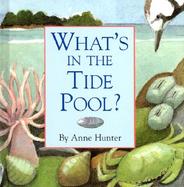 What's in the Tide Pool? cover