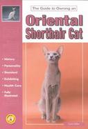 Oriental Shorthair Cat cover